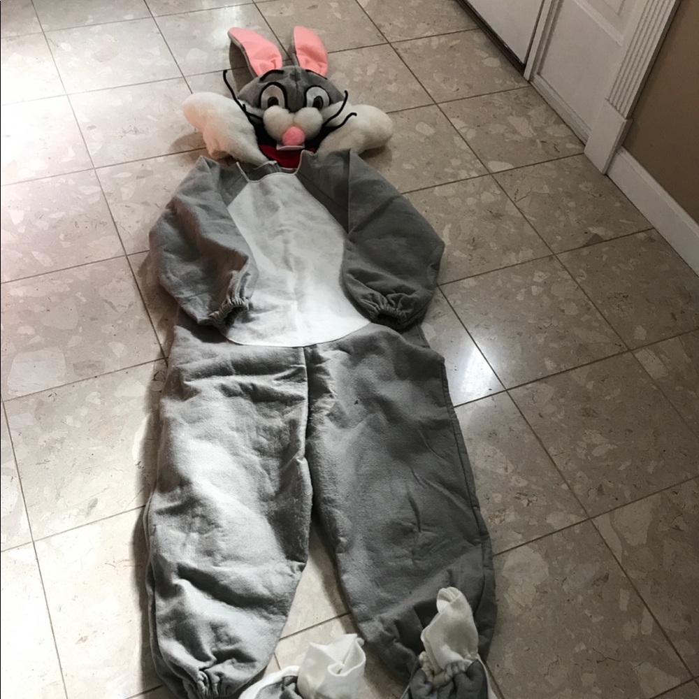 Buster adult Halloween costume